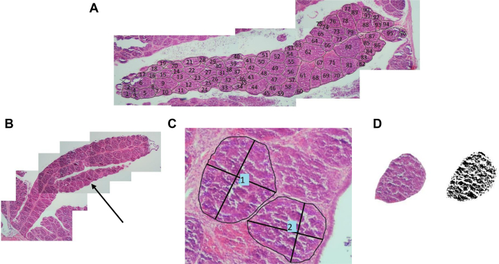 Figure 2