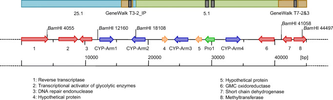 Fig. 3