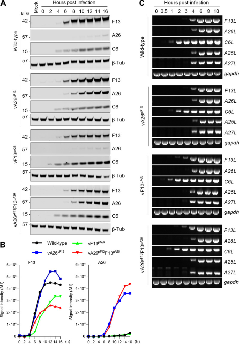 FIG 2