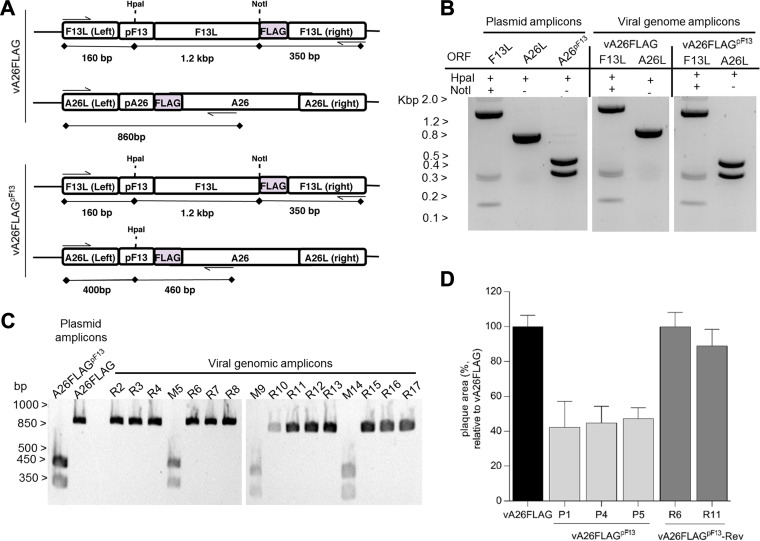 FIG 4