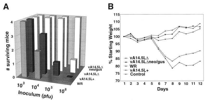 FIG. 8