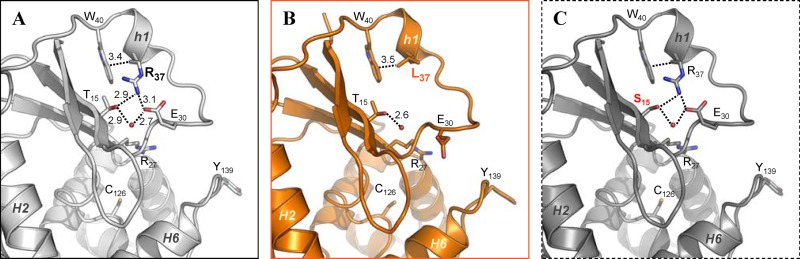 Fig 6