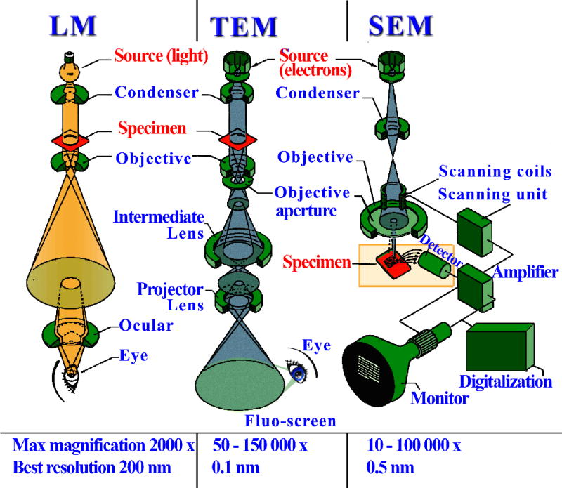 Figure 7.13.7