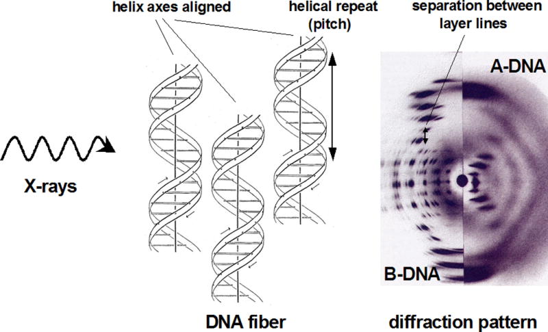 Figure 7.13.6