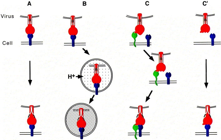 Fig. 2