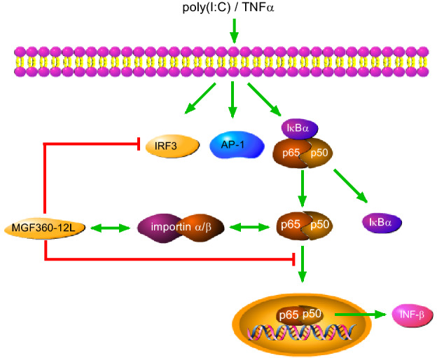 Fig. 6