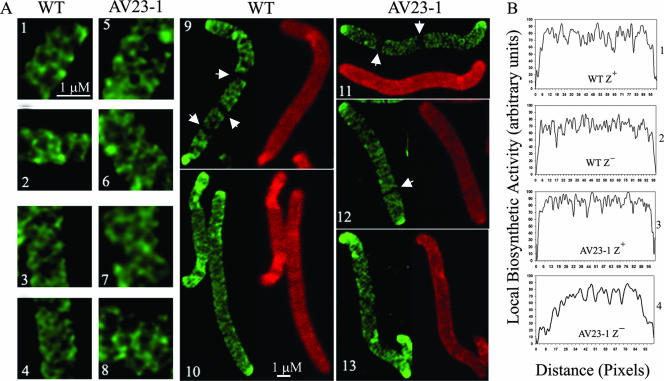 FIG. 4.