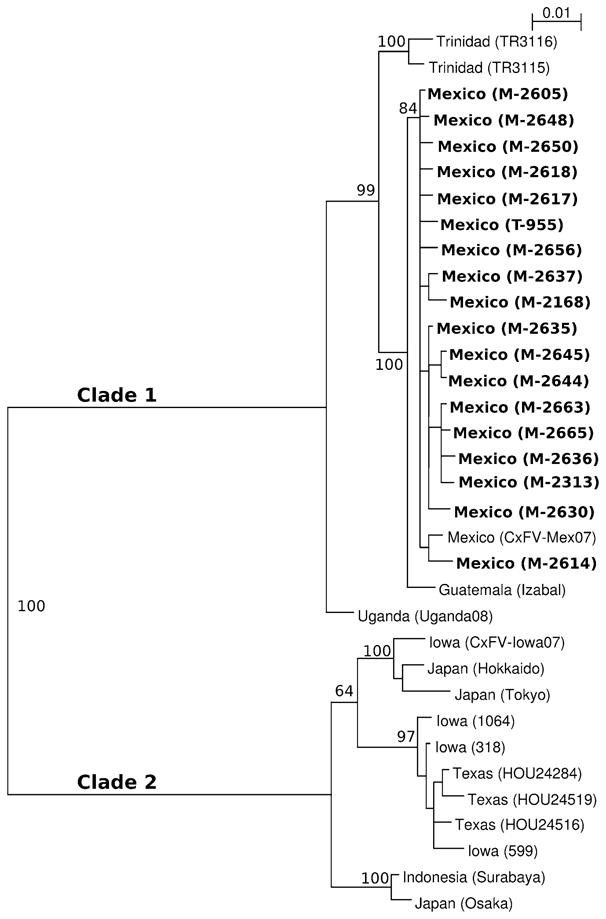 Fig. 1