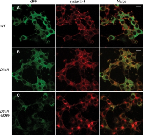 FIGURE 10: