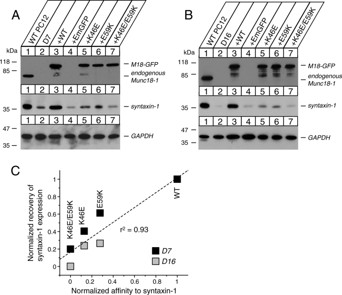 FIGURE 3: