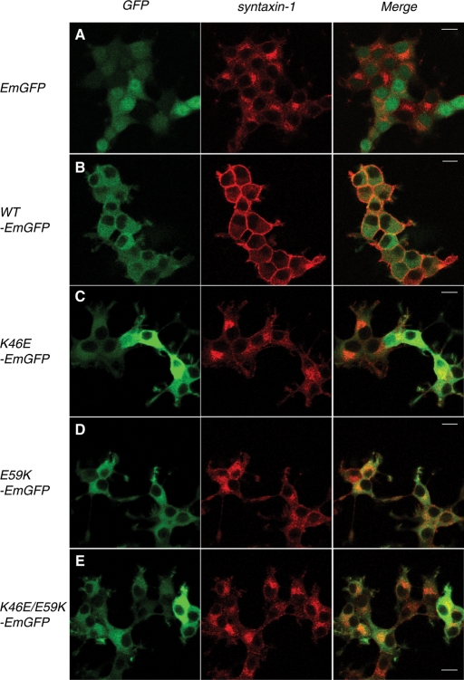 FIGURE 4: