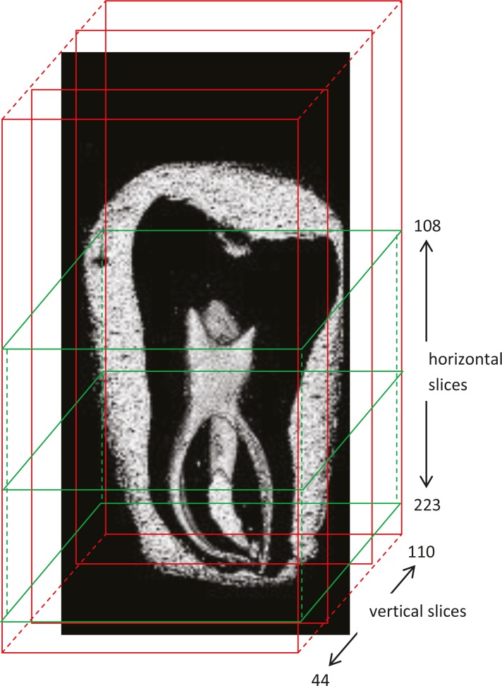 FIGURE 2