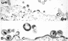 FIG. 8.