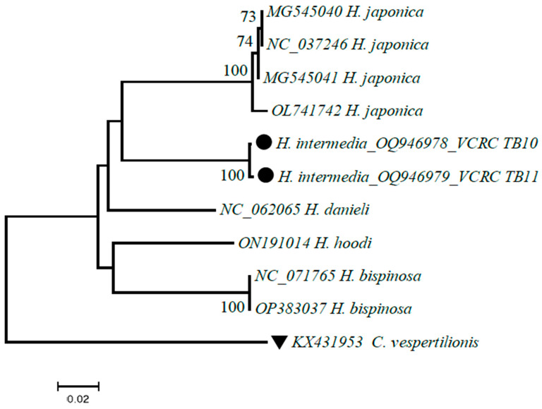 Figure 4