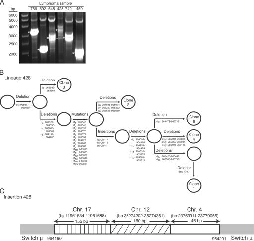 Figure 4.