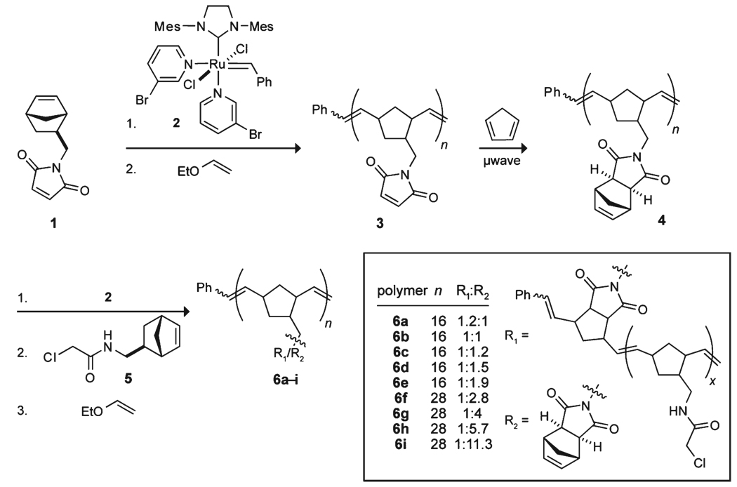 Scheme 1