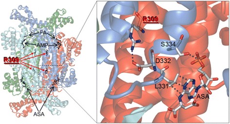 Fig. 3