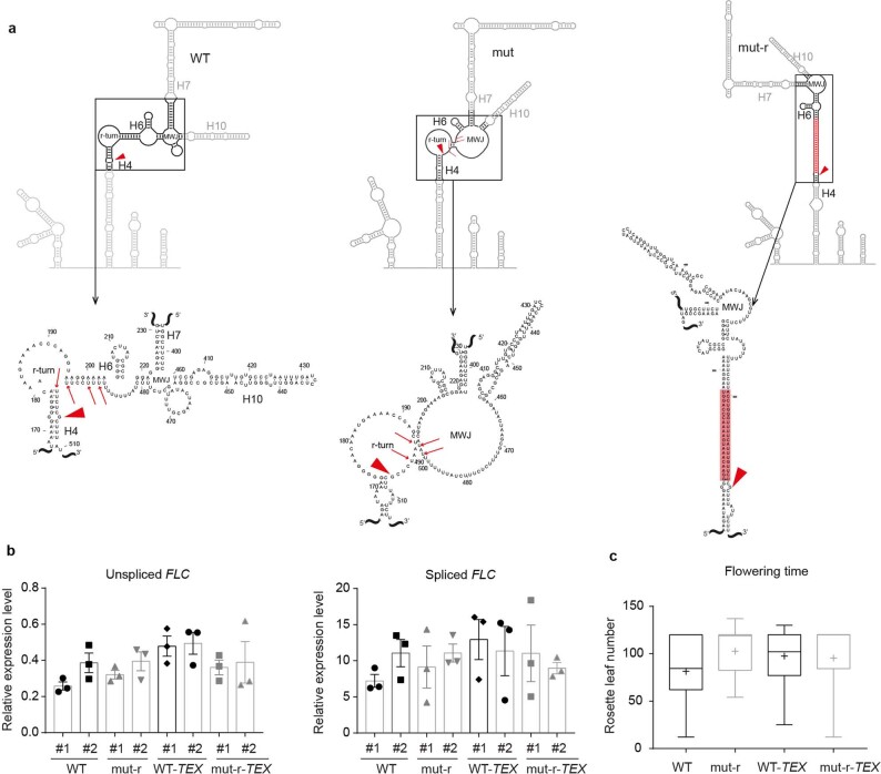 Extended Data Fig. 7