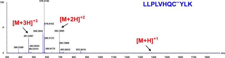 Fig. 10