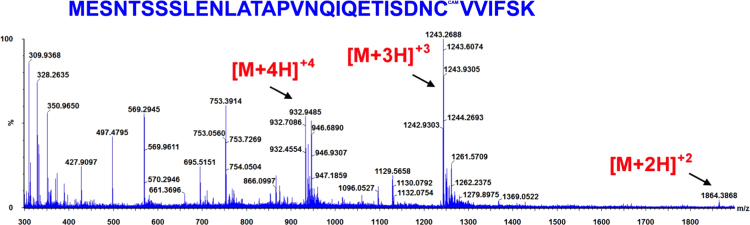 Fig. 11