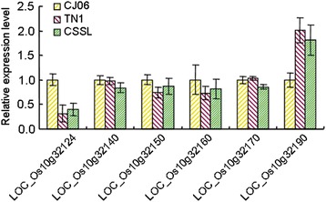 Fig. 6