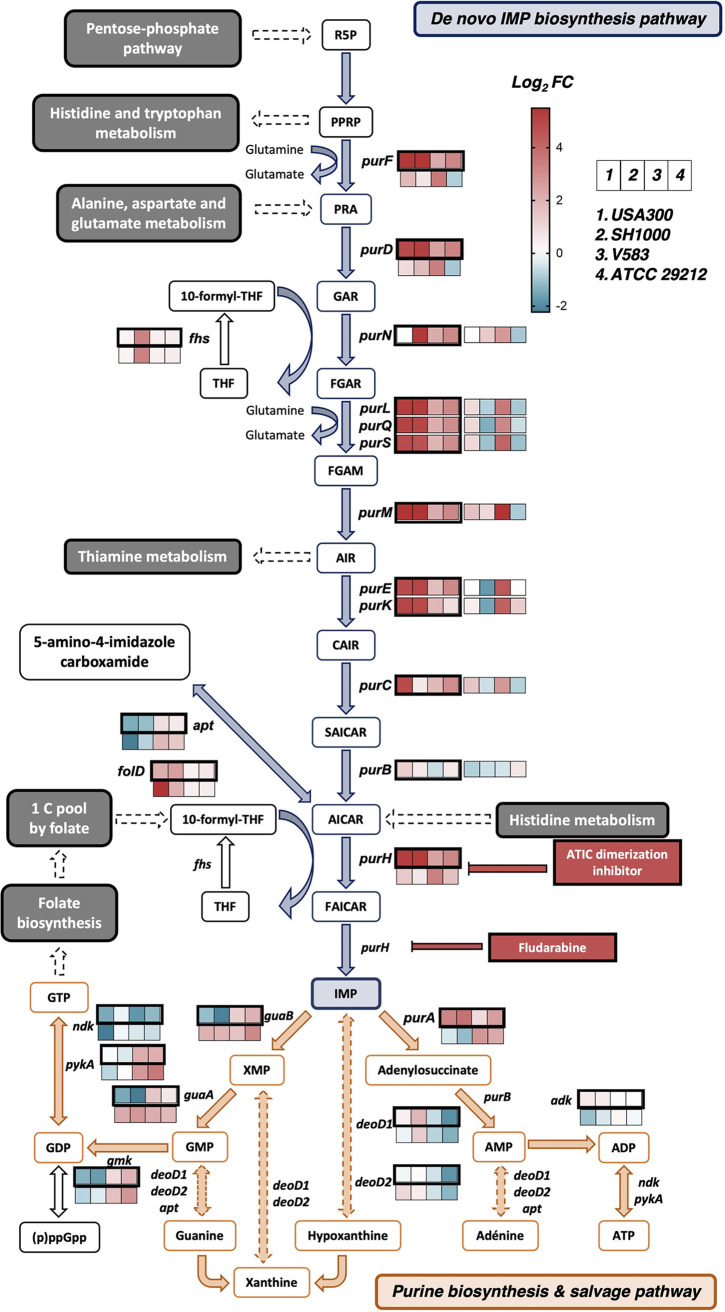 FIG 4