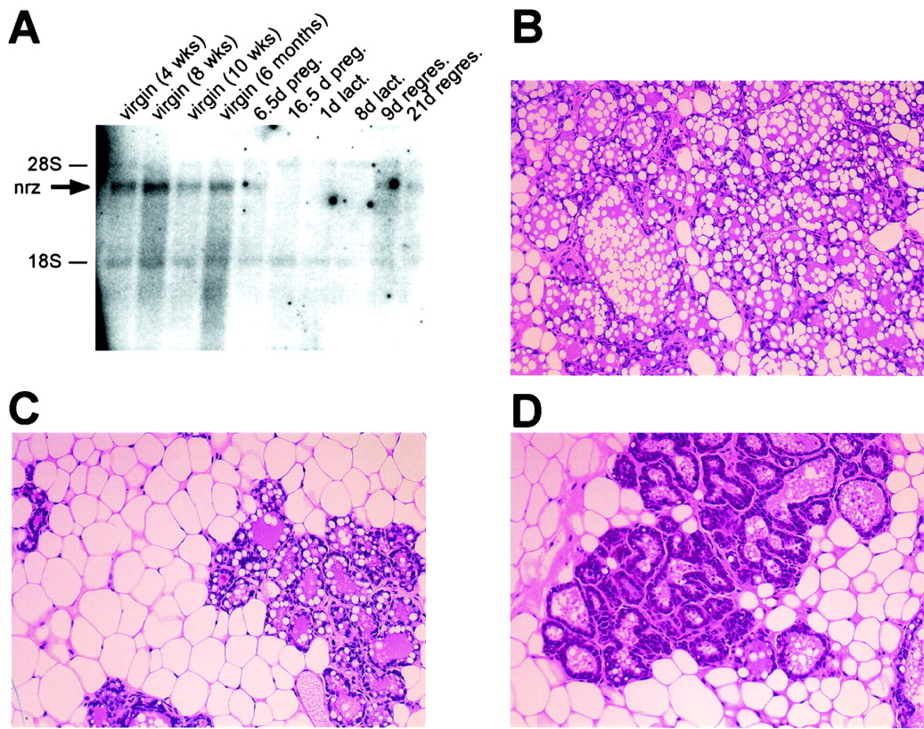 FIG. 8