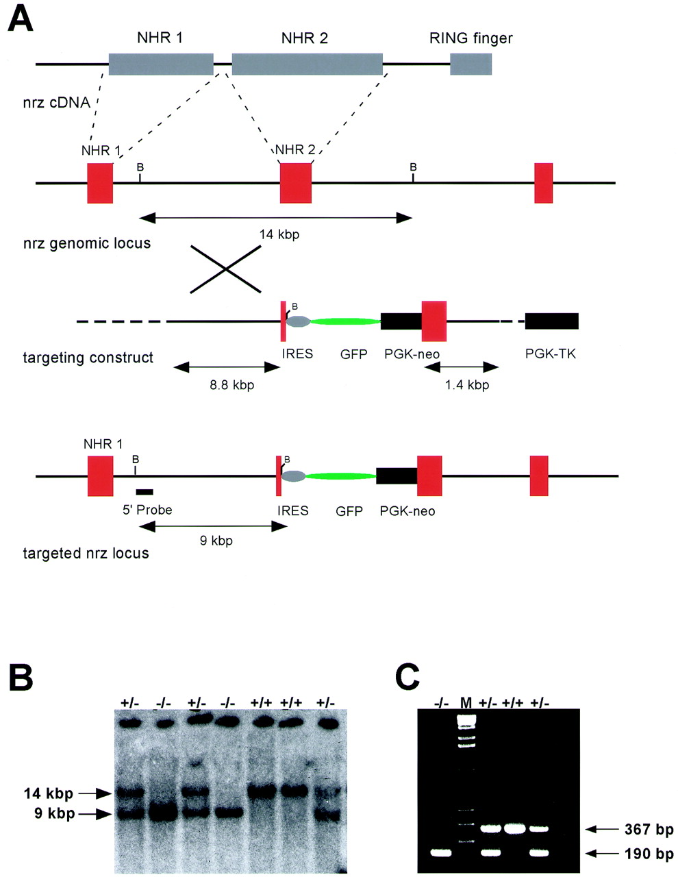 FIG. 3