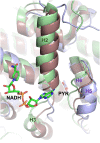 Fig. 2