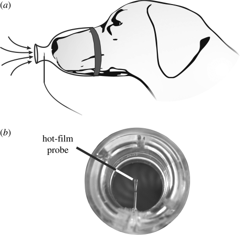 Figure 3.