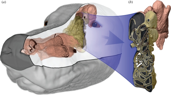 Figure 1.