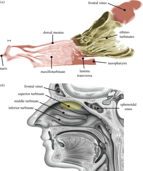 Figure 2.