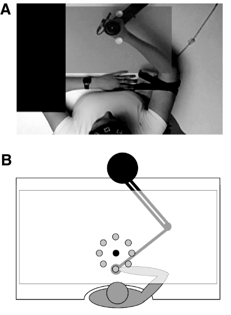 Fig. 1.