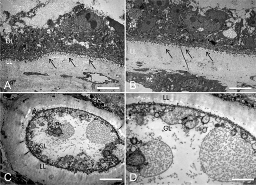 FIG. 6.