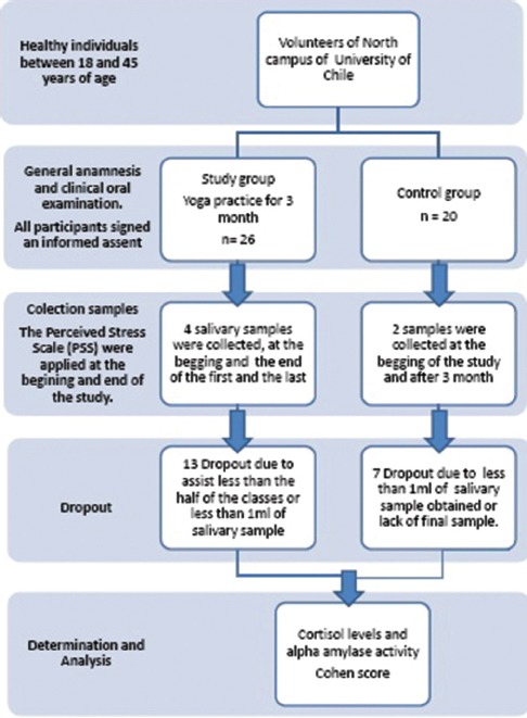 Flow Chart 1