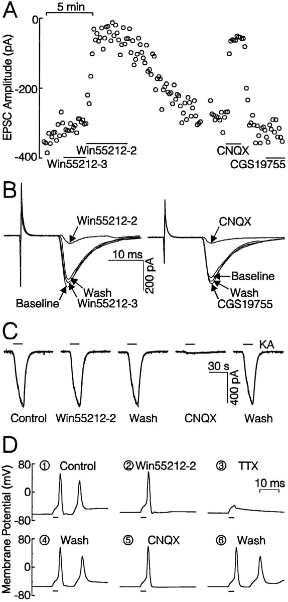 Fig. 8.