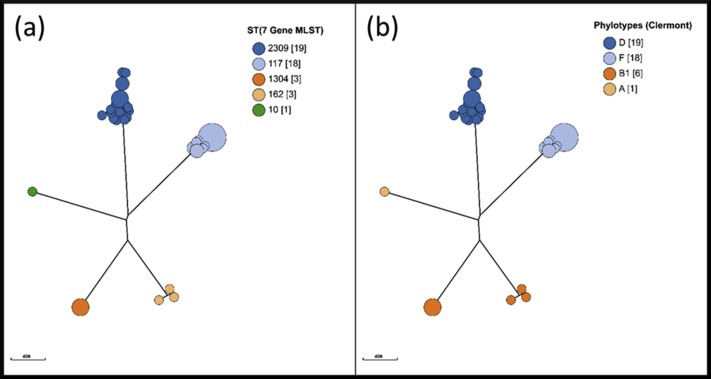 Supplemental Figure 2