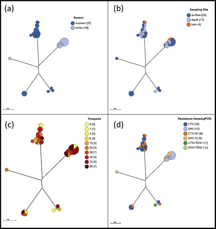 Supplemental Figure 1