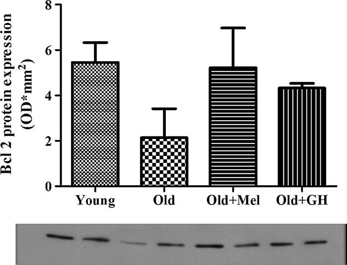 Fig. 9