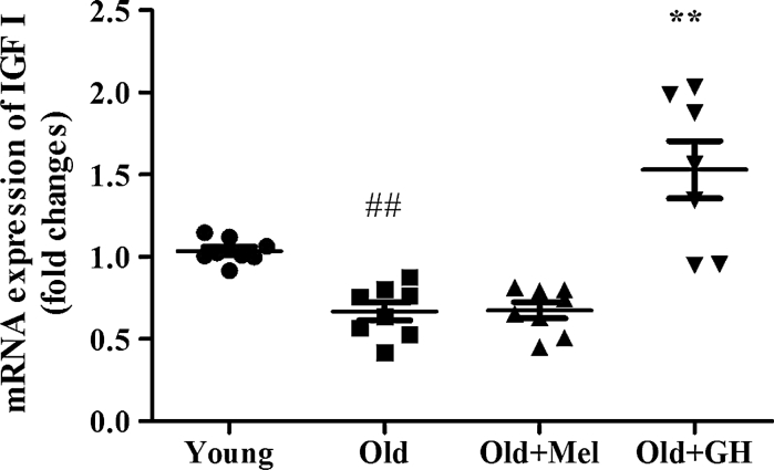 Fig. 10