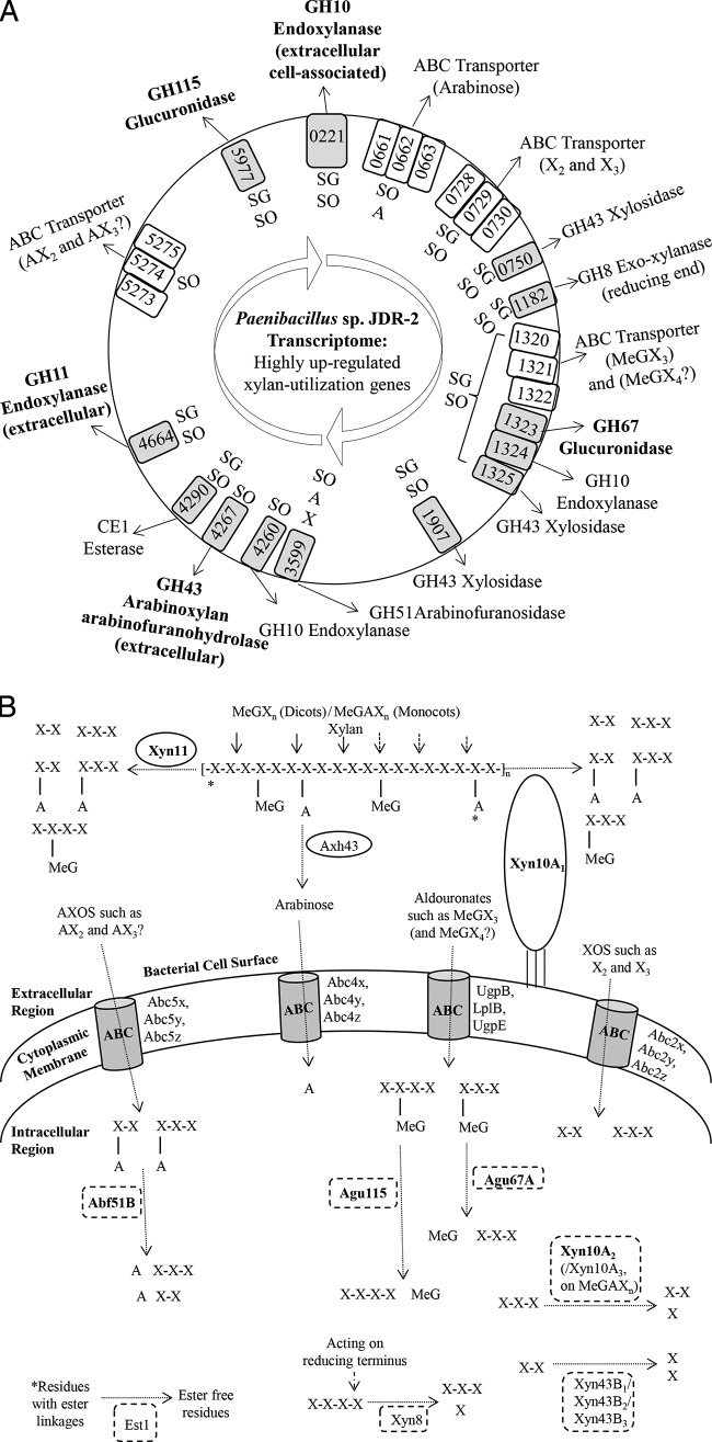 FIG 2