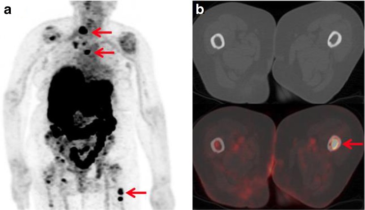 Fig. 8