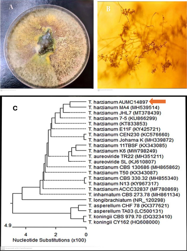 Fig. 1