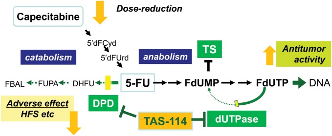 Figure 4.