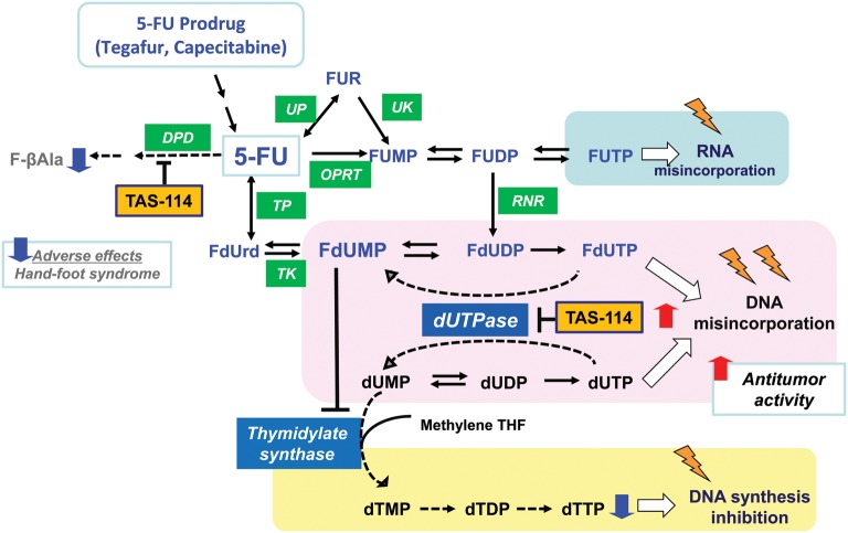 Figure 2.