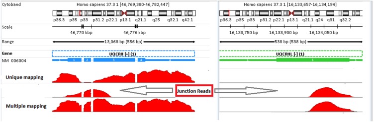 Figure 10