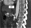 Fig. 9