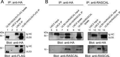 FIG. 8.