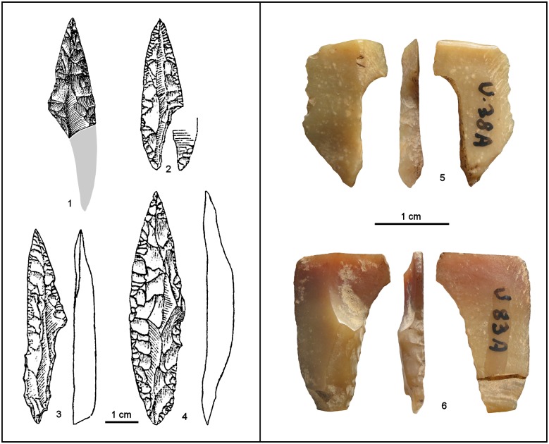 Fig 10