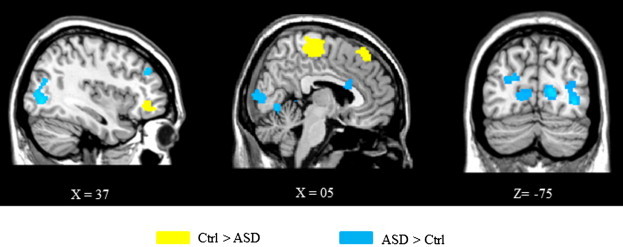 Fig. 3